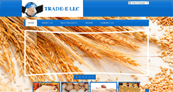 Desktop Screenshot of etradellc.com